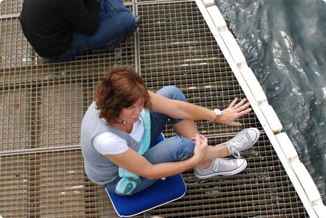 sommerfest_2013__103_.jpg
